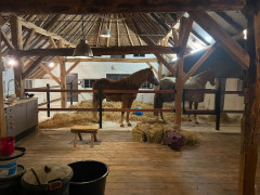 Renovatie schuur 11
